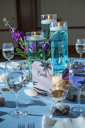 Summer's Bat Mitzvah