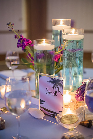 Summer's Bat Mitzvah