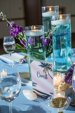 Summer's Bat Mitzvah