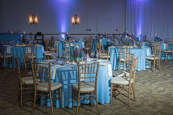 Summer's Bat Mitzvah