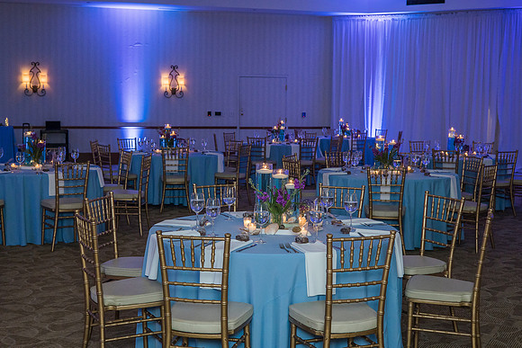 Summer's Bat Mitzvah
