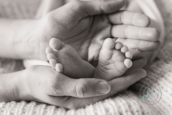 In home newborn session