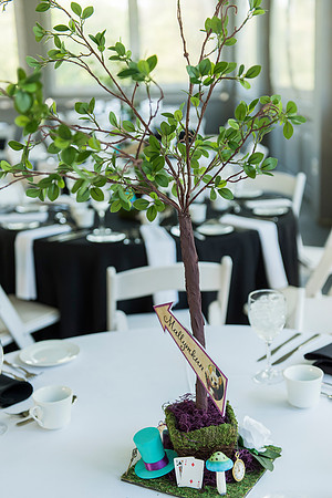 Amanda's Bat Mitzvah