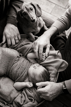 A family a day