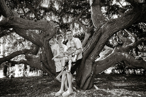 A family a day