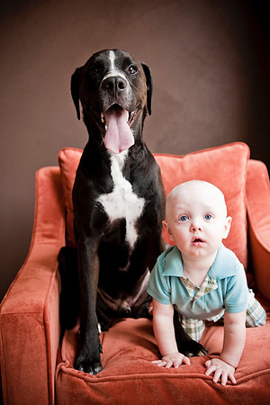 A family a day