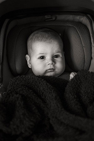 baby Judy