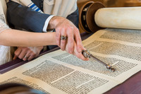Lilian's Bat Mitzvah