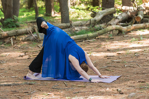 Jana yoga book