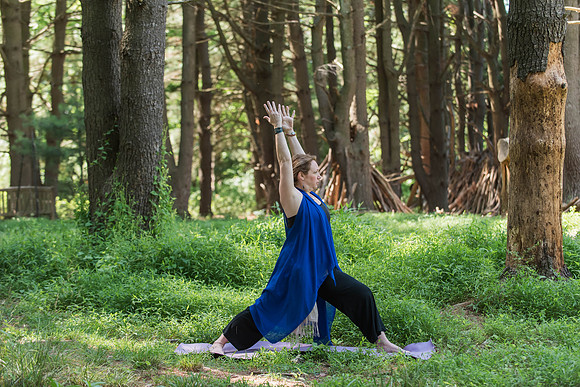 Jana yoga book