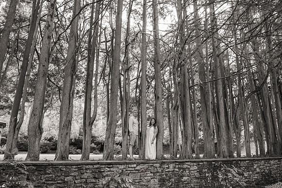 Rachel and Rob's Parque engagement session