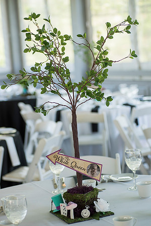 Amanda's Bat Mitzvah