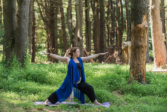 Jana yoga book