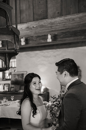 Halim Wu wedding