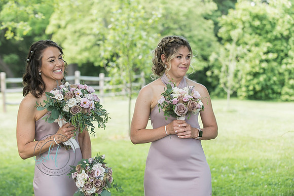 Audubon wedding and Spring Mill Cafe reception blog