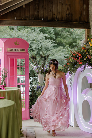 Violet's Sweet 16 Midnight Garden Party