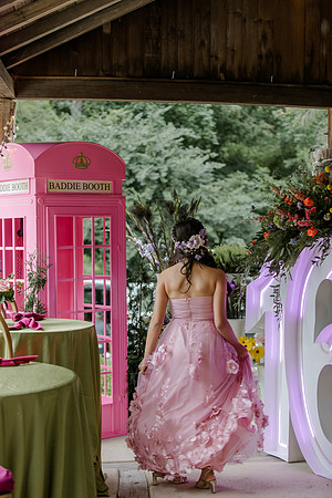 Violet's Sweet 16 Midnight Garden Party