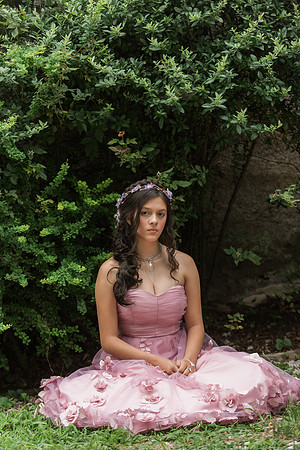 Violet's Sweet 16 Midnight Garden Party