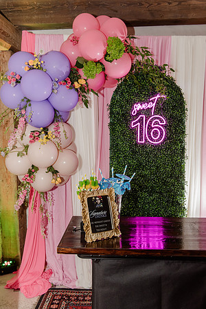 Violet's Sweet 16 Midnight Garden Party
