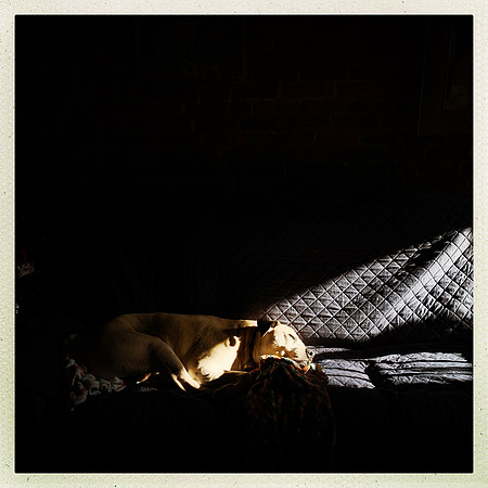 fine art photography