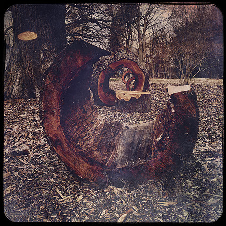 fine art photography
