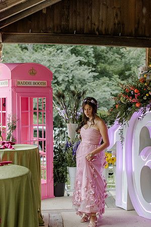 Violet's Sweet 16 Midnight Garden Party