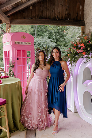 Violet's Sweet 16 Midnight Garden Party
