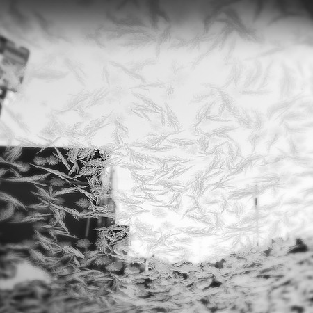 fine art photography