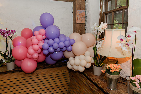 Violet's Sweet 16 Midnight Garden Party