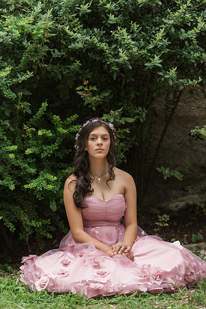 Violet's Sweet 16 Midnight Garden Party