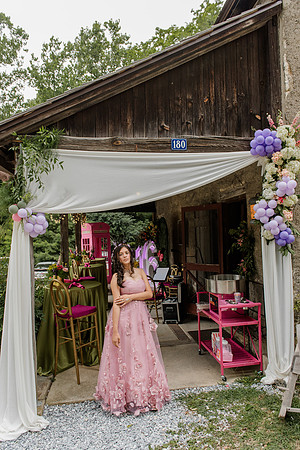 Violet's Sweet 16 Midnight Garden Party