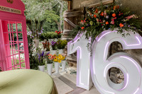 Violet's Sweet 16 Midnight Garden Party