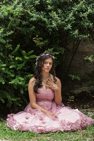 Violet's Sweet 16 Midnight Garden Party