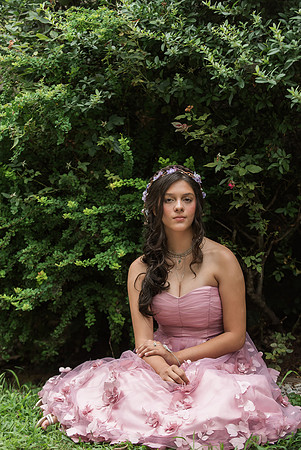 Violet's Sweet 16 Midnight Garden Party