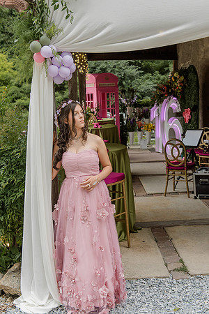 Violet's Sweet 16 Midnight Garden Party