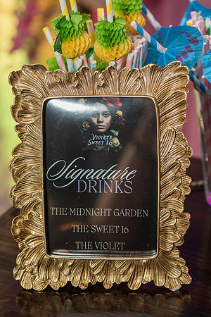 Violet's Sweet 16 Midnight Garden Party