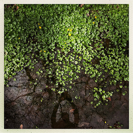 fine art photography