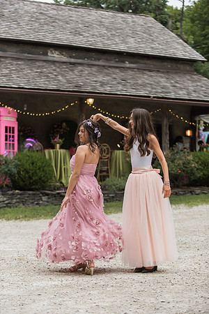 Violet's Sweet 16 Midnight Garden Party
