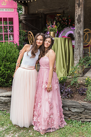 Violet's Sweet 16 Midnight Garden Party