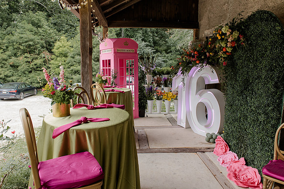 Violet's Sweet 16 Midnight Garden Party