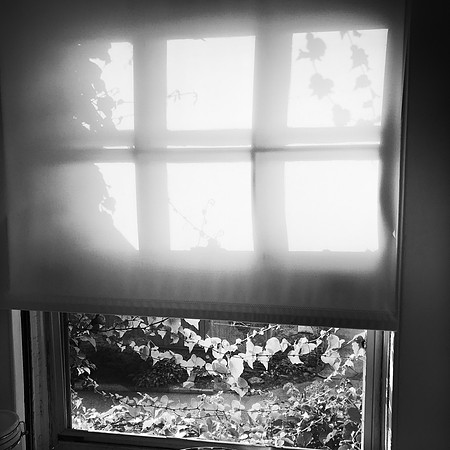 fine art photography