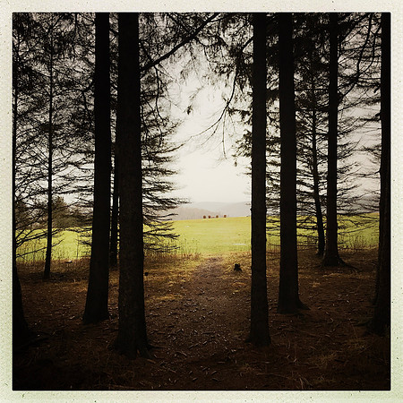 fine art photography