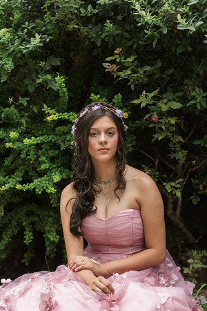 Violet's Sweet 16 Midnight Garden Party