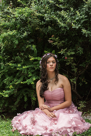 Violet's Sweet 16 Midnight Garden Party