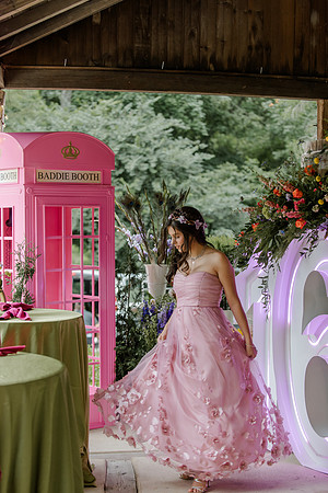 Violet's Sweet 16 Midnight Garden Party