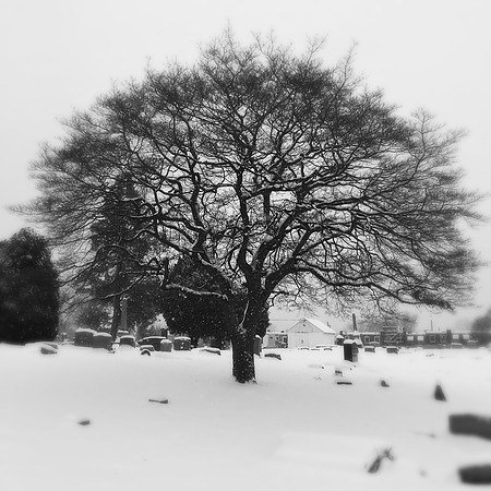fine art photography