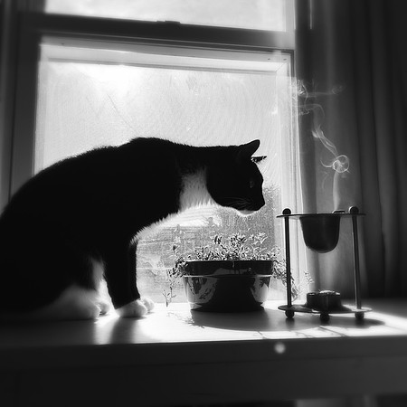fine art photography