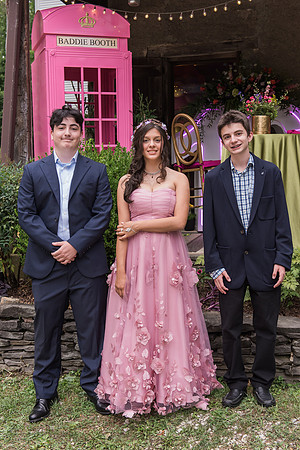 Violet's Sweet 16 Midnight Garden Party