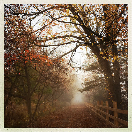 fine art photography