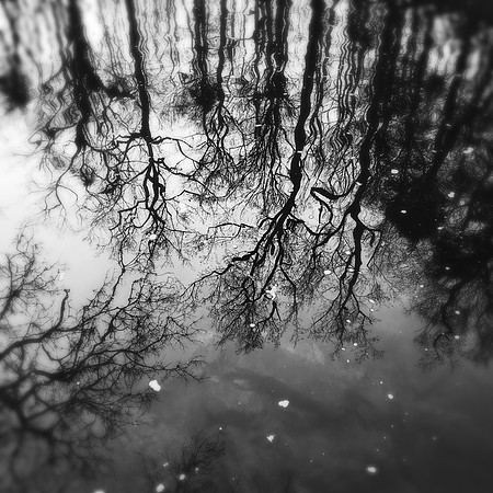 fine art photography